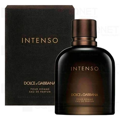 dolce gabbana cologne pour homme intenso.